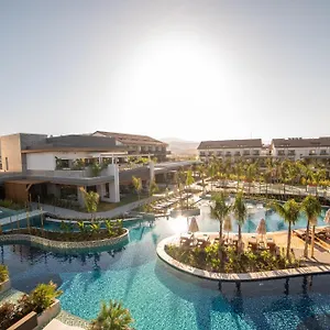 تحقق من التوفر
